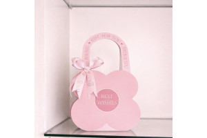 Pink bag for new born