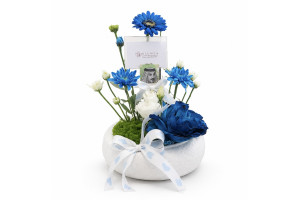 Belle Fleur