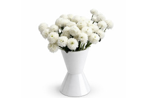 One white button santini