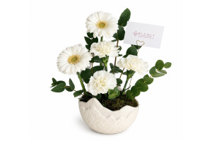 Fiore Di Luna