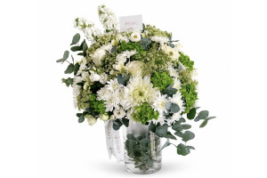 Vase radiance